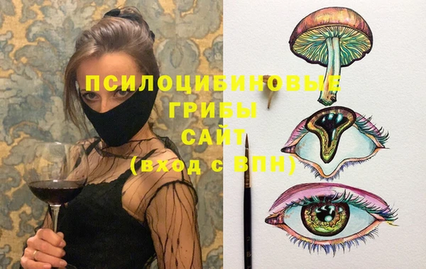 мяу мяу мука Билибино