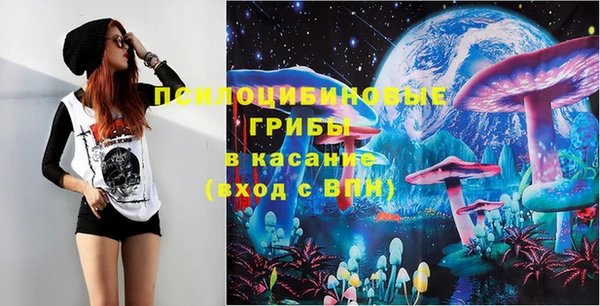 мяу мяу мука Билибино