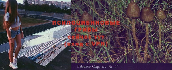 бошки Беслан