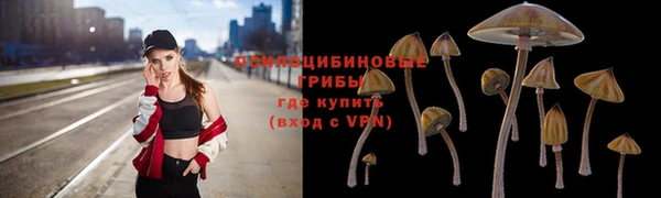 бошки Беслан