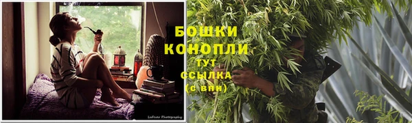 скорость Бикин
