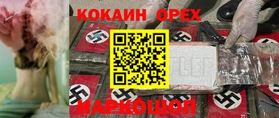 a pvp Гатчина