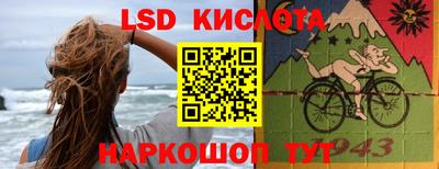 a pvp Гатчина