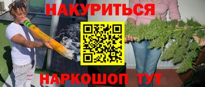 a pvp Гатчина