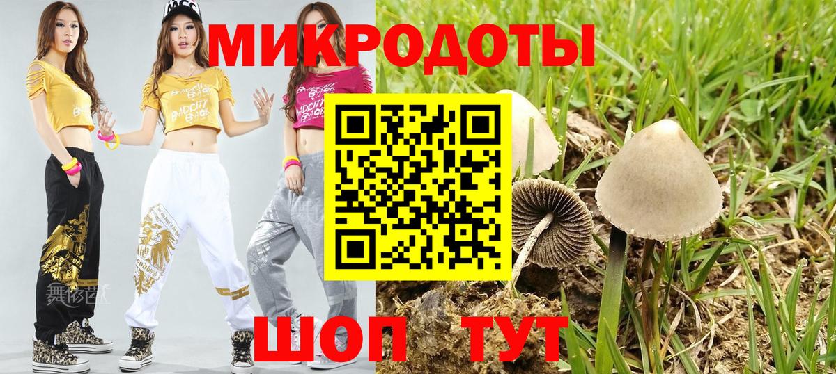 Галлюциногенные грибы Psilocybine cubensis Зеленокумск