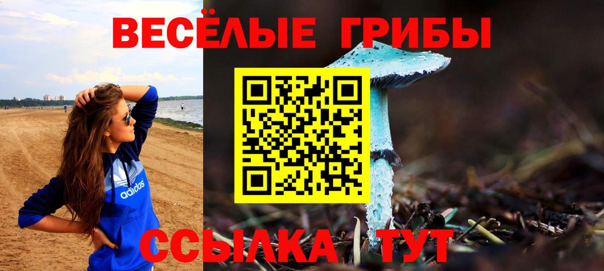 Псилоцибиновые грибы MAGIC MUSHROOMS  Зеленокумск  Псилоцибиновые грибы мицелий 